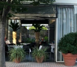 The Garden Room, The Frog And The Peach, New Brunswick