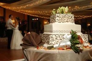 Caribbean Ballroom-Aruba And Barbados, Embassy Suites Hotel Boca Raton, Boca Raton