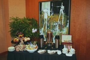 Salon IV, Embassy Suites Hotel Atlanta - At Centennial Olympic Park, Atlanta