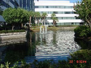 Interactive Offices Worldwide