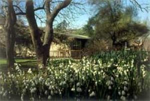 Botanic Gardens at University of California, Riverside