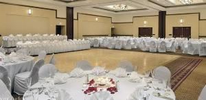 Arbor Ballroom, Hyatt Lisle, Lisle