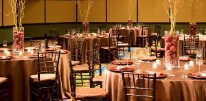 Cosmopolitan Ballroom, Hyatt Regency Indianapolis, Indianapolis