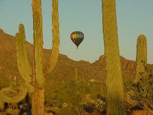 Fleur de Tucson Balloon Tours, Tucson
