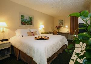 GUEST ROOM, Hampton Inn Daytona Beach Speedway, Daytona Beach