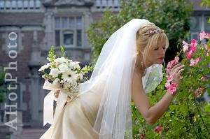 AHotPhoto Inc., Saint Louis