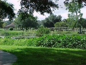 Gazebo with Botanical Gardens, Venetian Gardens, Leesburg — This is of the bridge and pavillion on the Lake side.