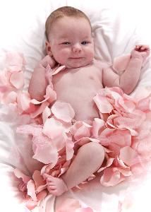 Miklus Photography