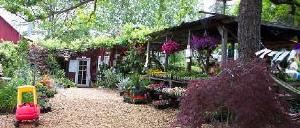 Gardens Area, Hotel Charlotte, Groveland