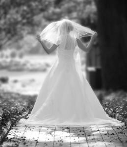 Brook Facey Photo, Augusta — Brook Facey's personality and talents have made him the most demanded photographer in the Augusta area. Individual attention is Brook's forte.