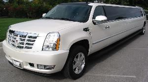 The newest, largest and most exotic limousine in Hampton Roads. A Brand New 2008 24 Passenger Cadillac Escalade with a million light marble disco dance floor and a fireplace!