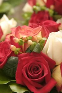 An Elegant Affair Event Planning, Hickory
