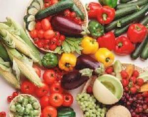 Oasis Gourmet Events, New York