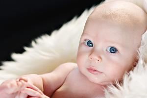 Mandi Carroll Photography, Minot