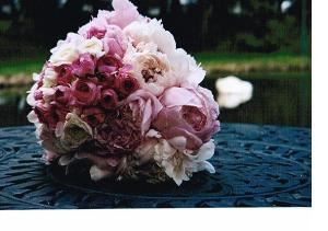 Juliette's Floral Designs, Philadelphia — Beauty, elegance, flair, and most importantly, personal attention. For your wedding day, Juliette's Floral Designs works with you to ensure that you have the best quality floral arrangements within your budget. Designers will create beautiful arrangements for the bride and groom, the wedding party, the ceremony location and reception site. We pride ourselves in assuring that your wedding day will be one to remember. Our wedding consultants will be pleased to meet with you at your convenience. See our web page for examples of wedding arrangements at www.juliettesfloraldesigns.com