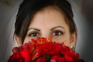 Studio Four Photography, Terra Ceia