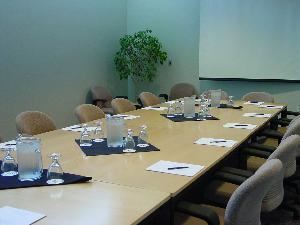 Meeting Room 309, Washington University Medical Center/Eric P Newman Education Center, Saint Louis