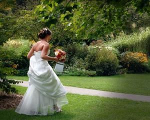 Photo Artistry By Judy
