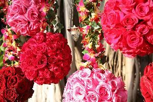 Ocean Flowers & Event Decor