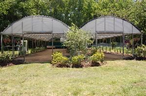 The Green House, Hunt Club Farm, Virginia Beach
