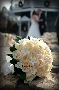Signature Photography, LLC