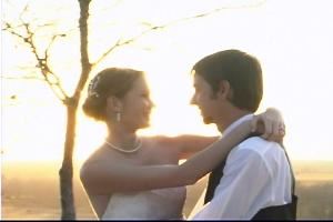 The Wedding Show