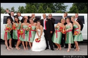 Artona Wedding Photography, Toledo — A FUN WEDDING GROUP WE PHOTOGRAPHED LAST SUMMER.