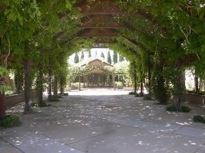 Ceremonial Rose Garden, Albuquerque Biological Park, Albuquerque