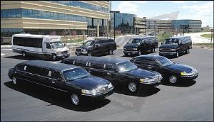 Executive Coach Service