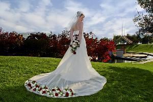 Don Epp Photography, Coquitlam