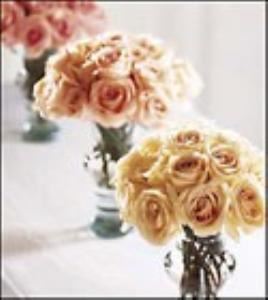 Strong Event Planning LLC