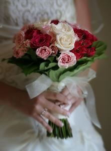 Visual Image Photography, Cedarburg