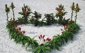Dreaming of a Destination Florida Beach Wedding with your toes in the warm soft powdery sand on the beautiful white sandy shores of the Gulf of Mexico? You can celebrate your love in a unique way with a Sand Petal Wedding. Imagine walking down a sand carved aisle to rythmic island music, waves gently lapping at the shore, and a majestic sunset as your background. Have fun, be carefree, dig your toes into the sand as you say I do!  We will make that dream a reality!  You don't need to spend your life savings to live your dream of a truly romantic and unforgettable wedding day that all will envy. A Sand Petal Wedding on the Beach is a magical and most memorable experience.  Let us take away all the worry and stress while you enjoy this special time with your loved ones. Just go to our website to see what we can do for you! sandpetalwedding . com