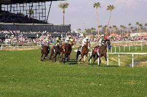 Turf Paradise, Phoenix