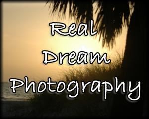 Real Dream Photography
