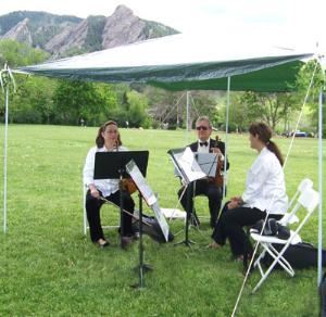 Ptarmigan String Quartet, Denver — Ptarmigan String Quartet is a group of four Professional Musicians who have performed for hundreds of Weddings and Special Events over the past twelve years!  Ptarmigan serves Denver, Boulder and surrounding mountain areas.

Past customers have given Ptarmigan String Quartet rave reviews on the quality of their music and the friendly, detail-oriented service.  

Please visit Ptarmigan's Web site for Audio Clips, testimonials and more information!