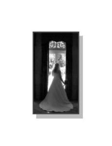 Beautiful Ones Video, Sterling Heights — Specializing in professional 
Wedding videography also providing 
video services for family and businesses. 
Our coverage is unique, beautiful, unobtrusive.
Customer service is what sets us apart.

Your wedding movie that you will love.
Professional Video/Photography
creating artistic customized DVDs.