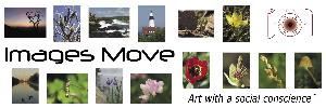 Images Move