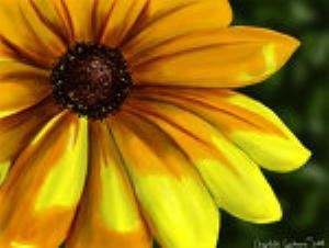 Black Eyed Susan Specialty Foods Cafe Catering