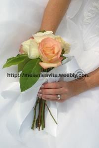 http://melanieavita.weebly.com