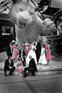 Kenneth Gerard Photography, Washington — Go Tigers!