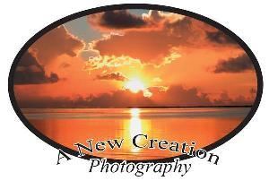 A New Creation Photography, Lakeland