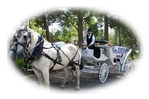 Dreamcatcher Carriage
