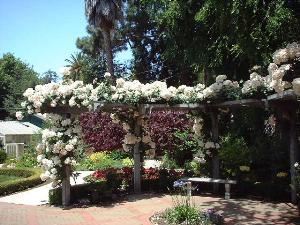 The Victorian Garden And Pumphouse, The San Mateo Arboretum Society, San Mateo