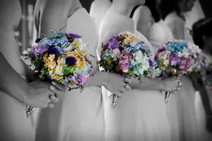 Ziebro Photography