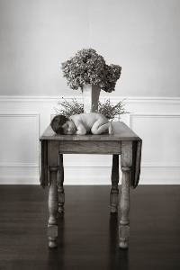 Susan Brewer Photography