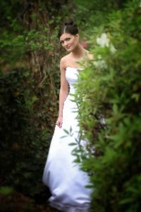 Dan Murray Photography, Greenville