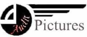 Auditpictures, Elk Grove Village — Throughout my years of experience, I have been able to work independently as well as with many businesses in the video and photo industry, so I know Chicago-land area and suburbs well. I am flexible, goal oriented, and focused on my job. I am punctual, and able to meet deadlines. I have the eye for strong composition, and production. I perform video services such as DVD/Blu-ray creation or duplication, file conversion, file compression, and many more. 
  www.auditpictures.com