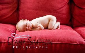 Diana Simpson Photography, Hixson — Diana is a maternity, child & newborn on-location photographer.