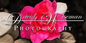 David Wiseman Photography and DJ, Montgomery — We offer both quality Photography and DJ services at unbeatable prices. We also have an extensive network of videographers, florists, and caterers, so we should be able to point you in the right direction that meets all of your needs. 

Our goal is to provide you with high quality services at discount prices. We feel you should work with someone professional whose goal is to capture your special day discretely without breaking the bank.

Located in Grady, Alabama, just outside Montgomery city limits, we are local to Montgomery, and all its surrounding areas. Travel is always available to any destination.

Please visit our website - www.davidwisemanphotography.com